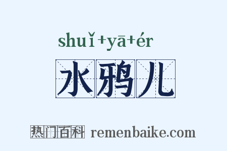 水鸦儿是什么意思的图片